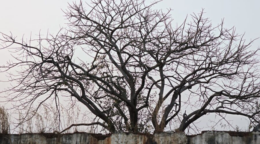 12 signes révélateurs que votre cœur abrite une âme ancienne