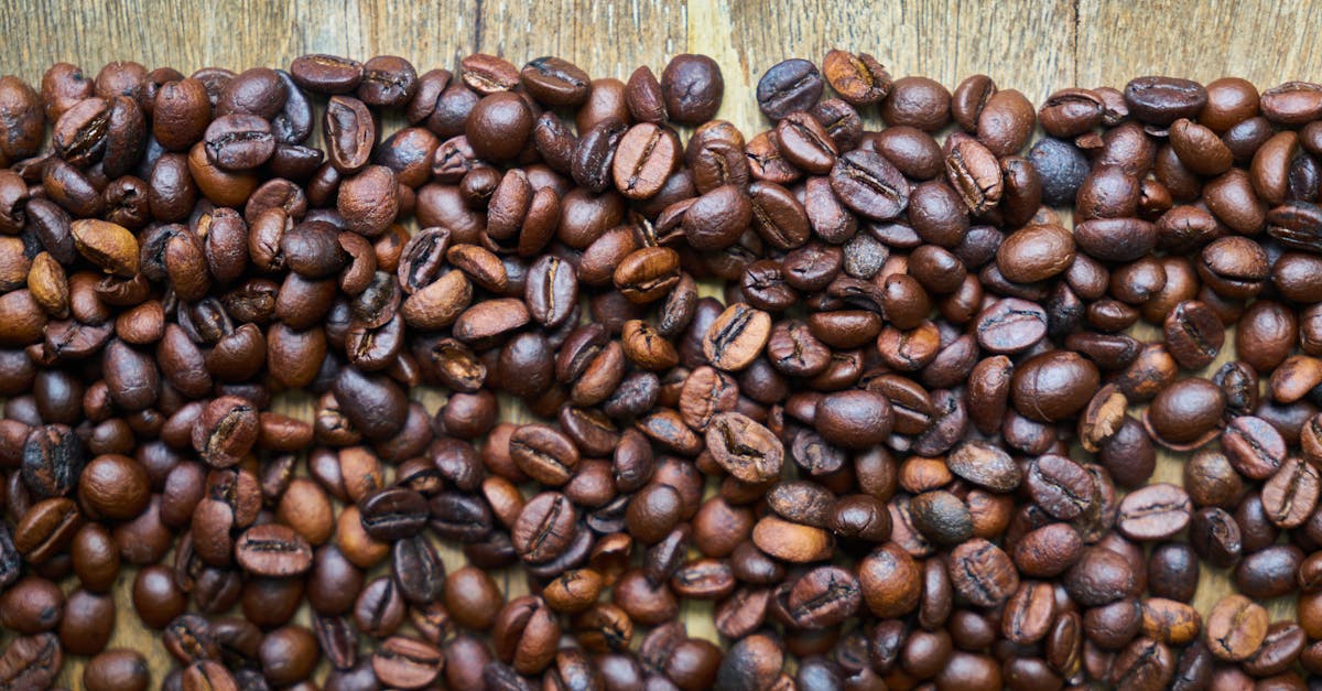 découvrez la signification et les nuances de l'amertume, un sentiment intense qui influence nos émotions et perceptions au quotidien.