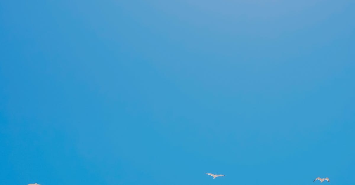 découvrez le concept de légèreté corporelle, une sensation d'équilibre et de bien-être physique pour une vie plus harmonieuse.