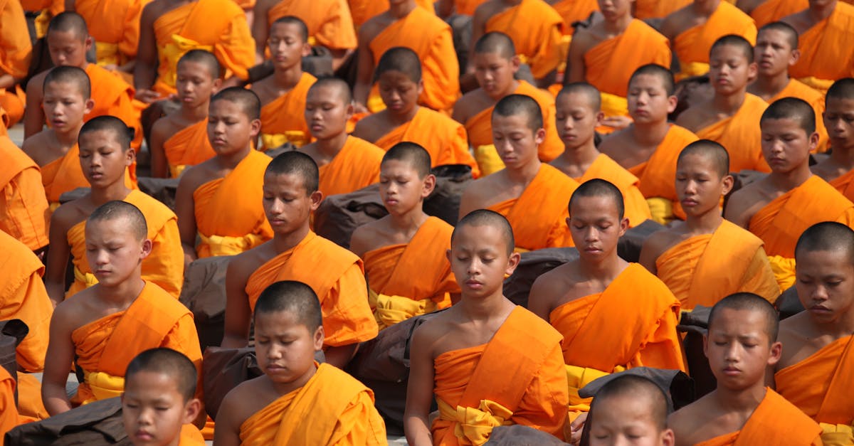 découvrez les principes, l'histoire et la pratique du bouddhisme, une philosophie spirituelle ancienne visant la paix intérieure et la sagesse.