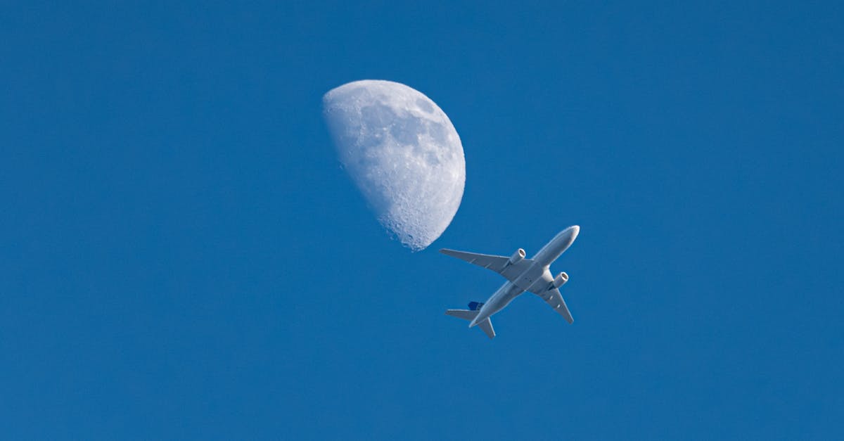 découvrez les messages célestes et laissez-vous guider par la sagesse des étoiles pour éclairer votre chemin.