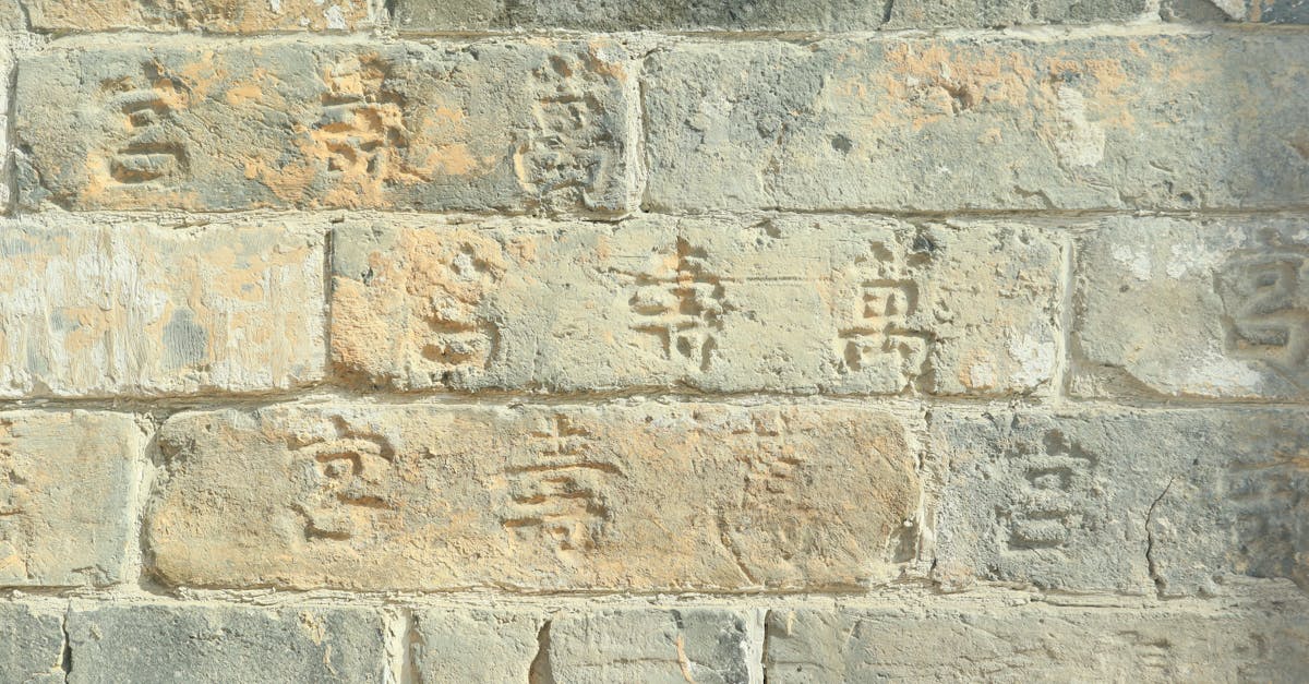 découvrez une collection inspirante de proverbes chinois, riches en sagesse et enseignements pour la vie quotidienne.