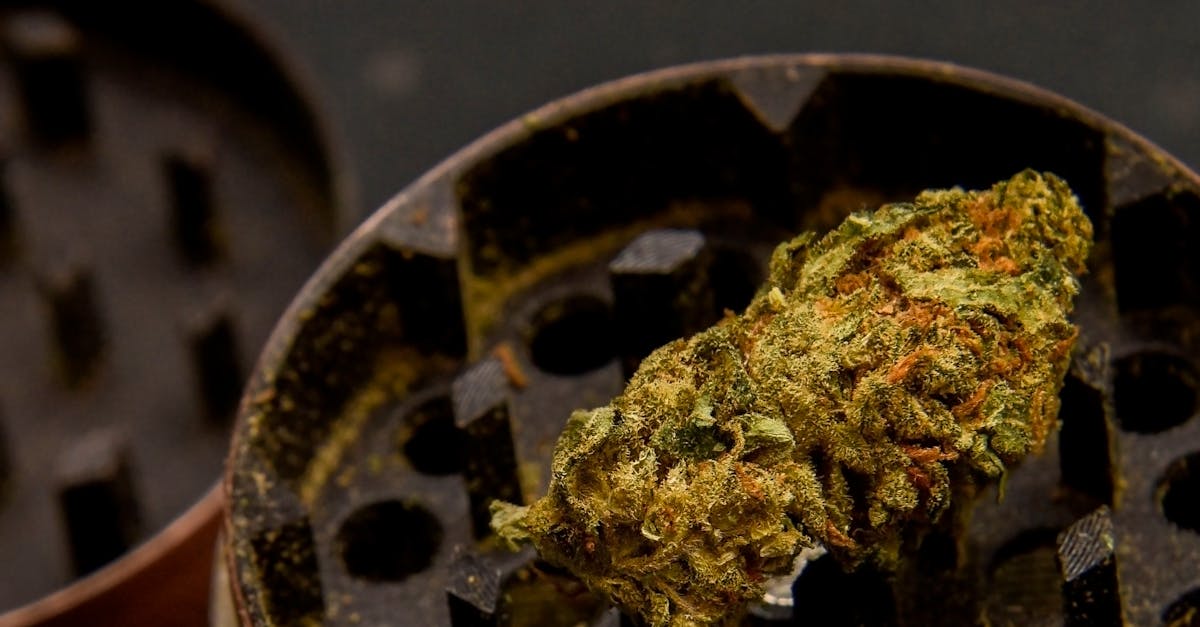 découvrez crystal addiction, une expérience unique mêlant éclat et énergie pour sublimer votre quotidien avec style et élégance.