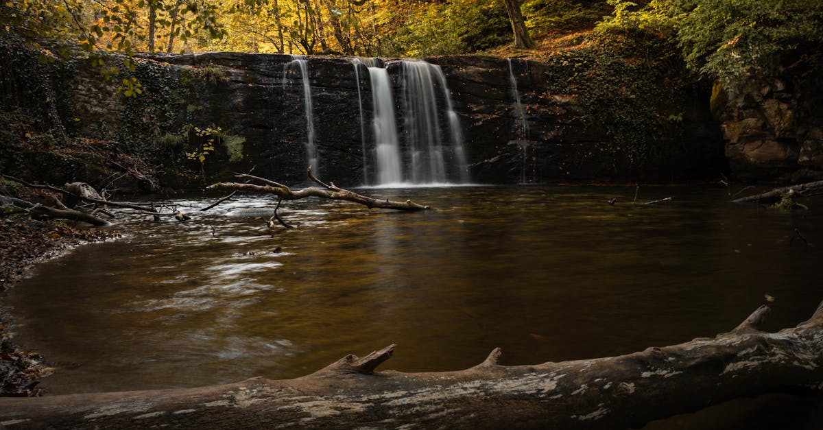 découvrez ce qu'est l'éco-anxiété, ses causes, ses effets sur le bien-être mental, et comment gérer cette inquiétude face aux enjeux environnementaux.