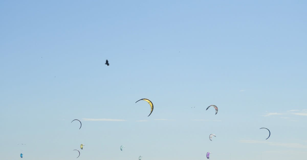 découvrez comment identifier et libérer les blocages énergétiques pour améliorer votre bien-être physique et mental.