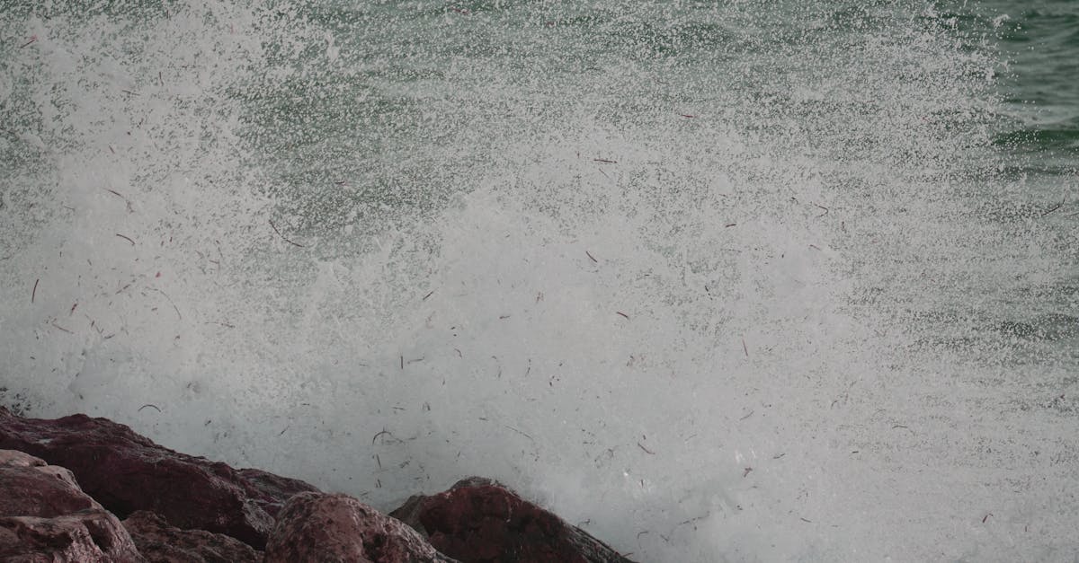 découvrez comment la perception de l'énergie influence notre quotidien et nos décisions, avec des insights innovants et des perspectives scientifiques.