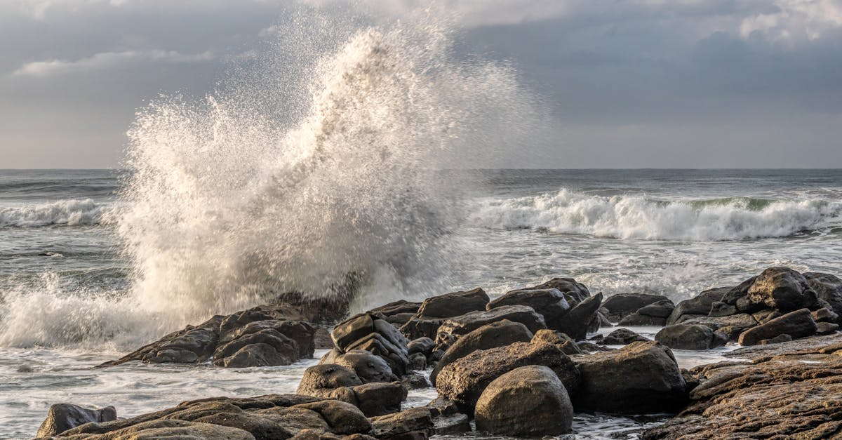 découvrez energy shift 2025, l'initiative clé pour une transition énergétique durable et innovante vers un avenir plus vert.