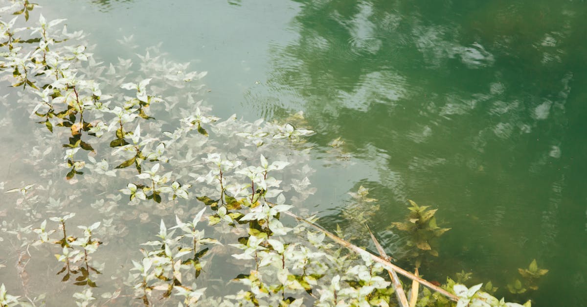 explorez les questions existentielles profondes qui touchent au sens de la vie, à la liberté et à notre place dans l'univers.