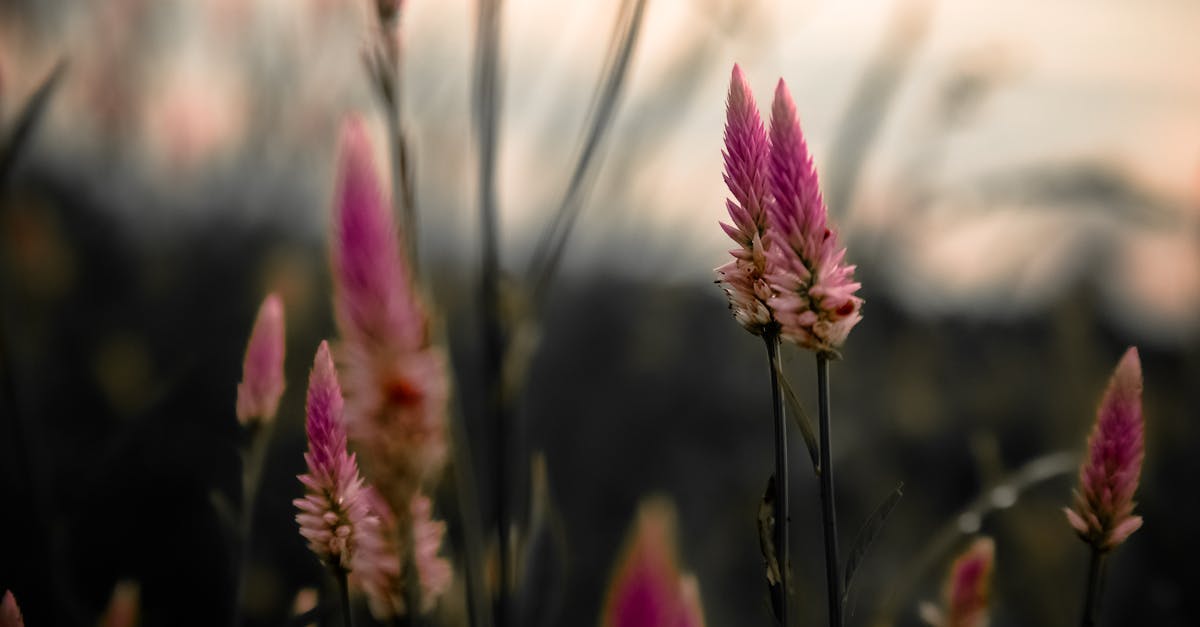 découvrez le processus de relâchement progressif des restrictions, favorisant une reprise en douceur et sécurisée.