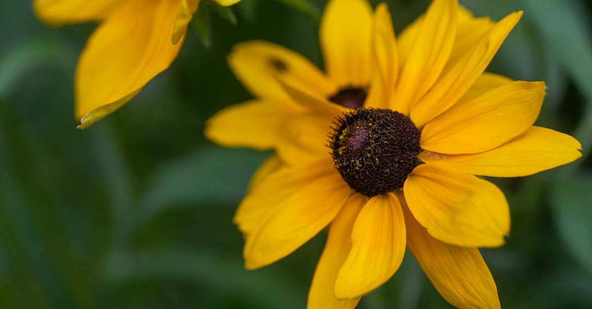 analyse approfondie de la méfiance croissante dans les relations sociales, économiques et politiques, explorant ses causes et ses conséquences.