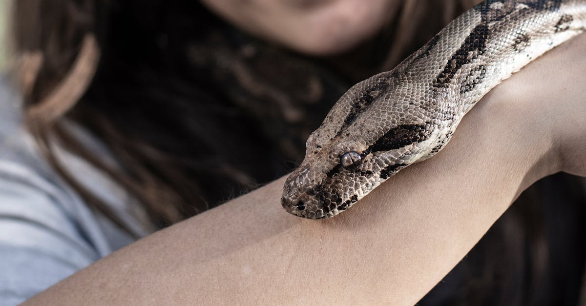 apprenez à gérer avec élégance les comportements grossiers grâce à des stratégies efficaces pour rester calme et professionnel en toutes circonstances.