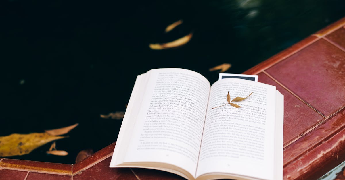 découvrez une histoire inspirante qui vous motivera et éveillera votre passion pour atteindre vos rêves.