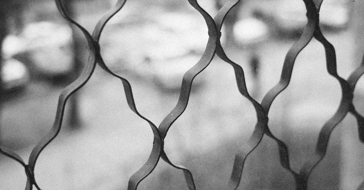 découvrez invisible protection, la solution discrète et efficace pour protéger vos surfaces sans compromettre l'esthétique.