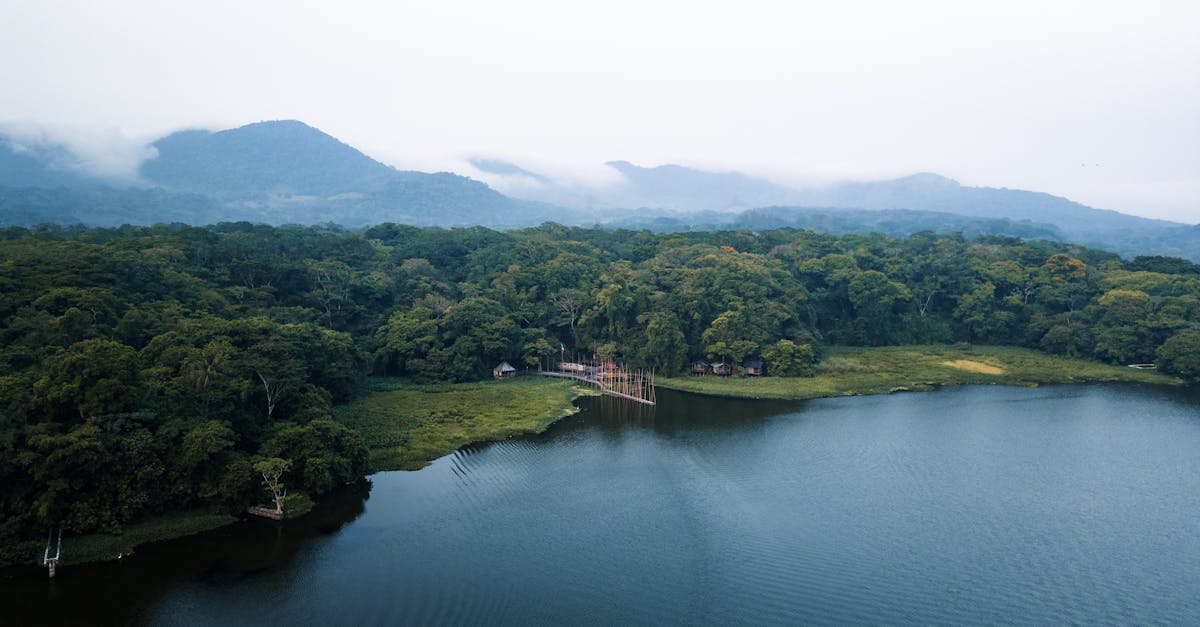 découvrez l'absorption méditative involontaire, un état naturel où l'esprit plonge spontanément dans une profonde concentration et sérénité.