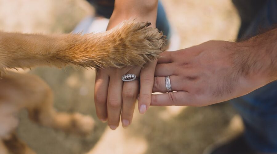 Les raisons essentielles de choisir quelqu&rsquo;un prêt à tout pour vous défendre