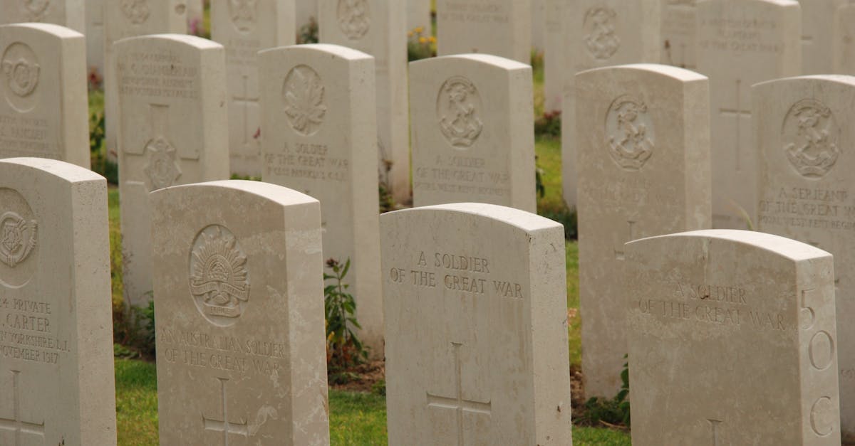 découvrez les causes, symptômes et solutions pour la perte de mémoire afin d'améliorer votre bien-être cognitif.