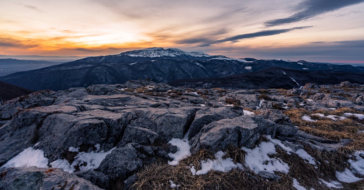 découvrez la sensibilité saisonnière, ses impacts sur le bien-être et comment mieux gérer les changements d'humeur liés aux variations des saisons.