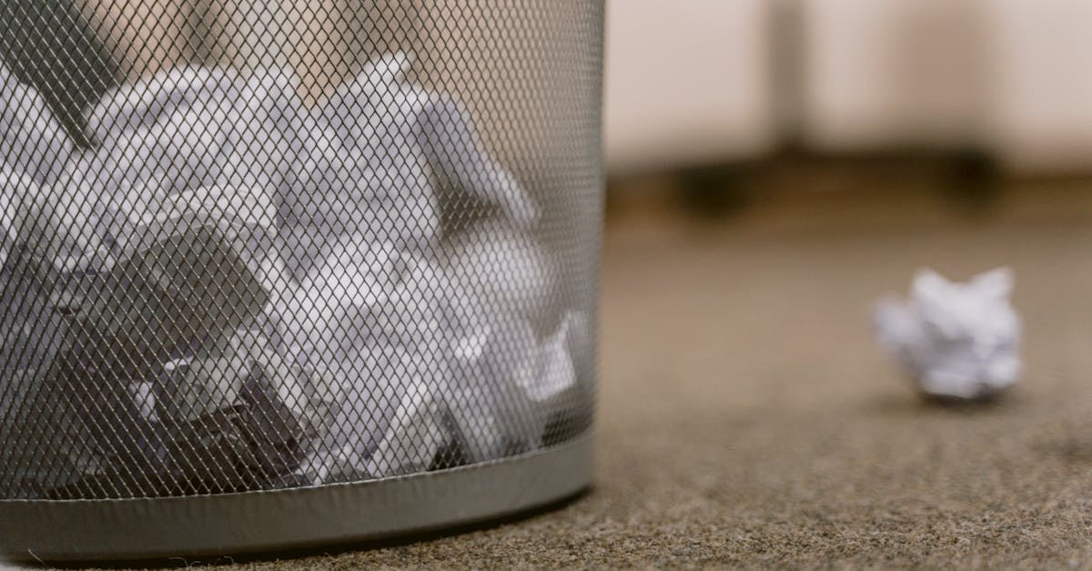 découvrez nos pratiques durables pour préserver l'environnement tout en favorisant un développement responsable et éthique.