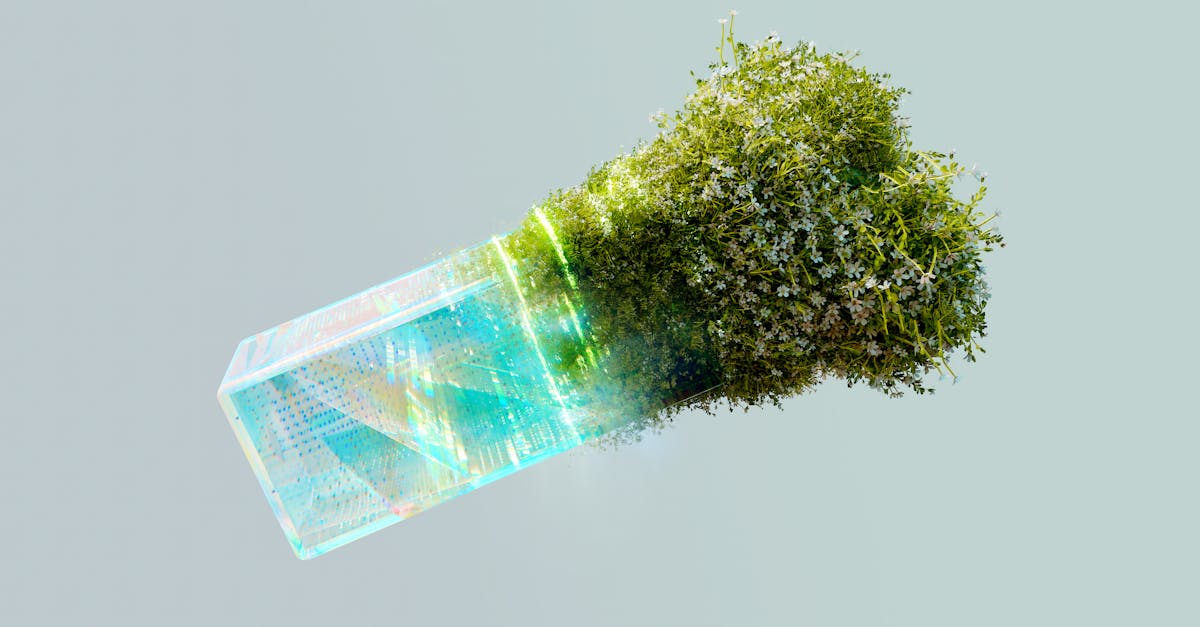 découvrez les diverses transformations et leurs impacts dans différents domaines, de la technologie à la société, pour mieux comprendre les évolutions actuelles.