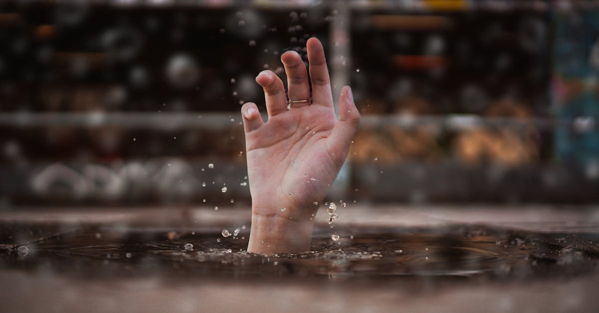 découvrez le voyage passionnant à la recherche de la vérité, explorez des idées profondes et développez une compréhension claire du monde qui vous entoure.