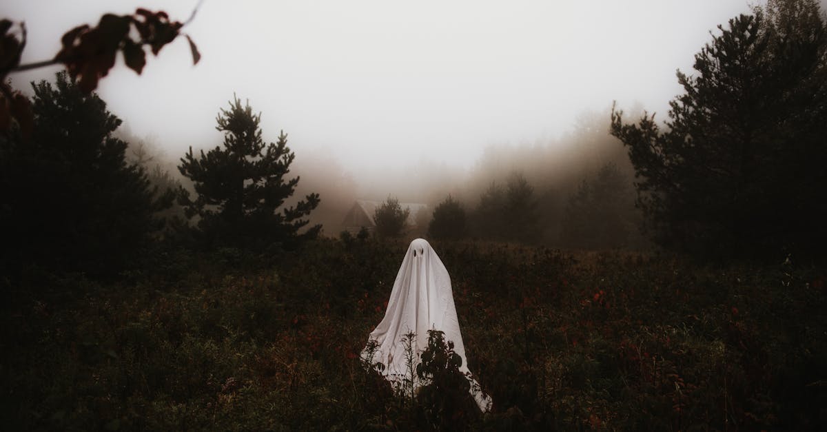 découvrez les mystères de la répulsion inexpliquée et explorez les phénomènes fascinants qui défient la compréhension scientifique.