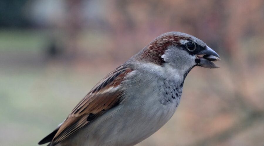 19 comportements qui font fuir les hommes, même quand vous êtes irrésistible