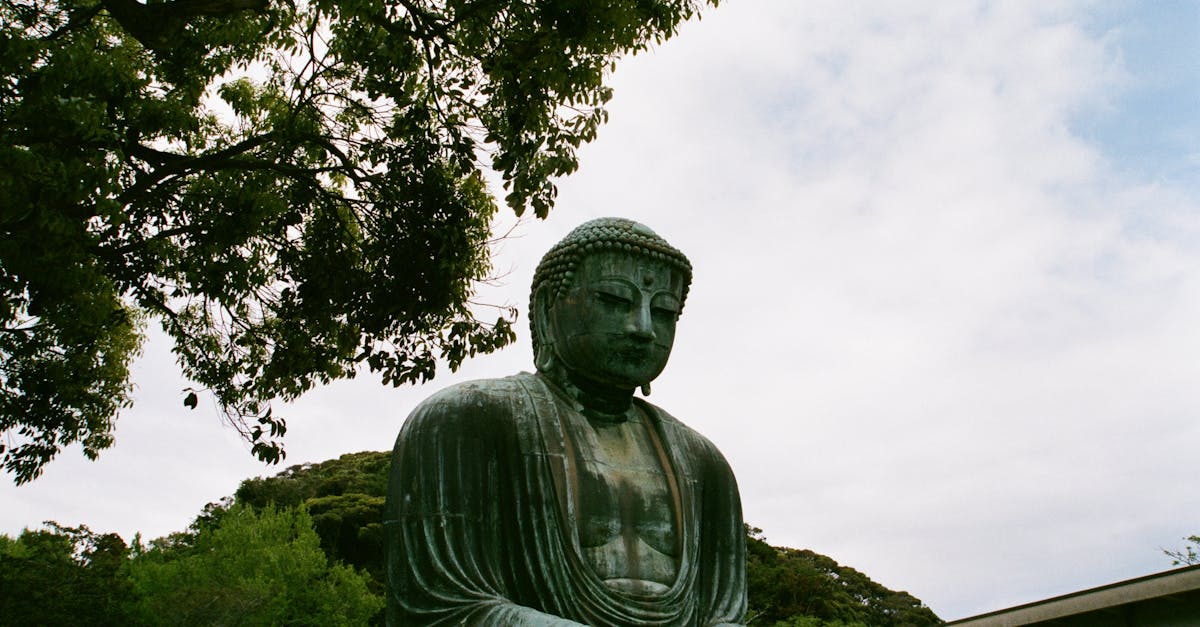 découvrez les enseignements de bouddha, une source de sagesse et de paix intérieure pour guider votre vie spirituelle et quotidienne.