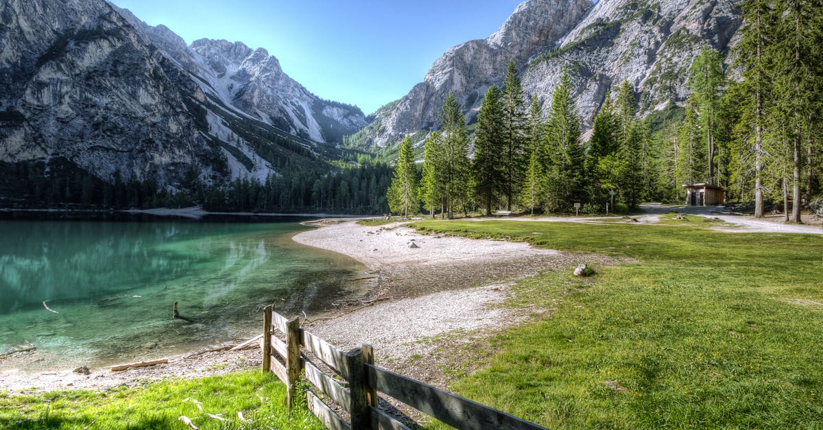 découvrez comment formuler efficacement une plainte pour faire valoir vos droits et obtenir une résolution rapide et satisfaisante.