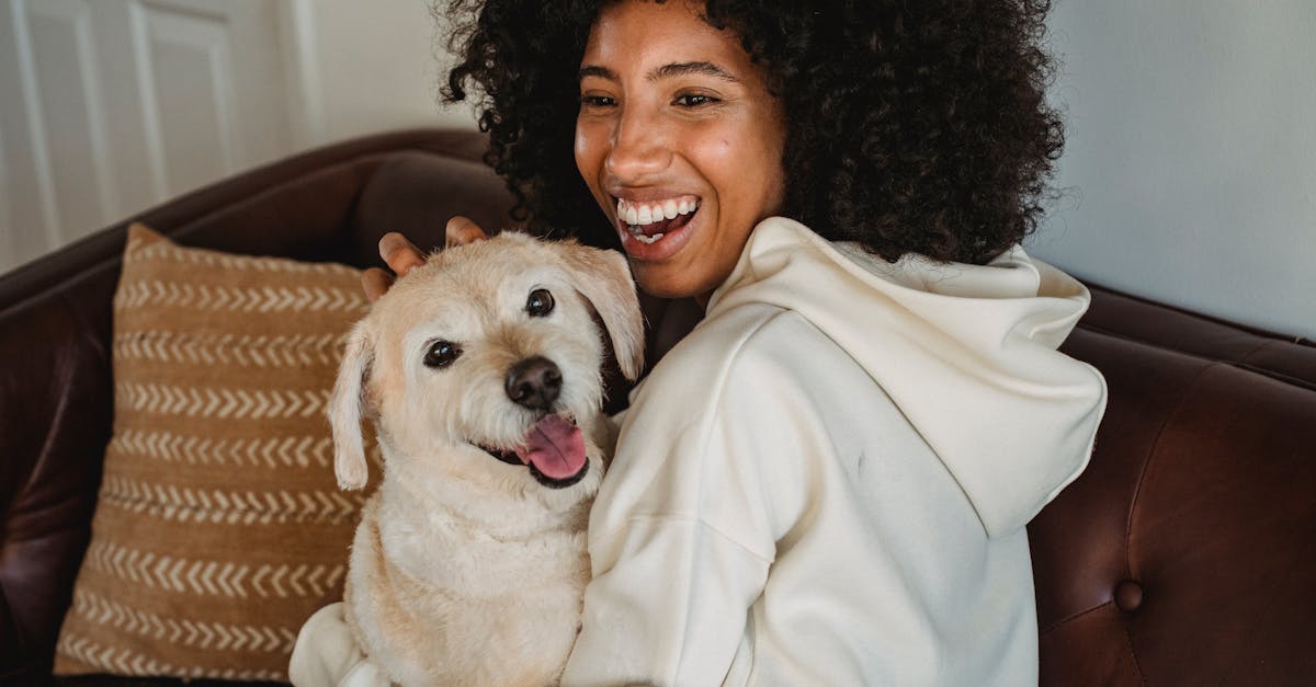 découvrez 'loyal friend', une histoire touchante d'amitié fidèle et de confiance indéfectible.