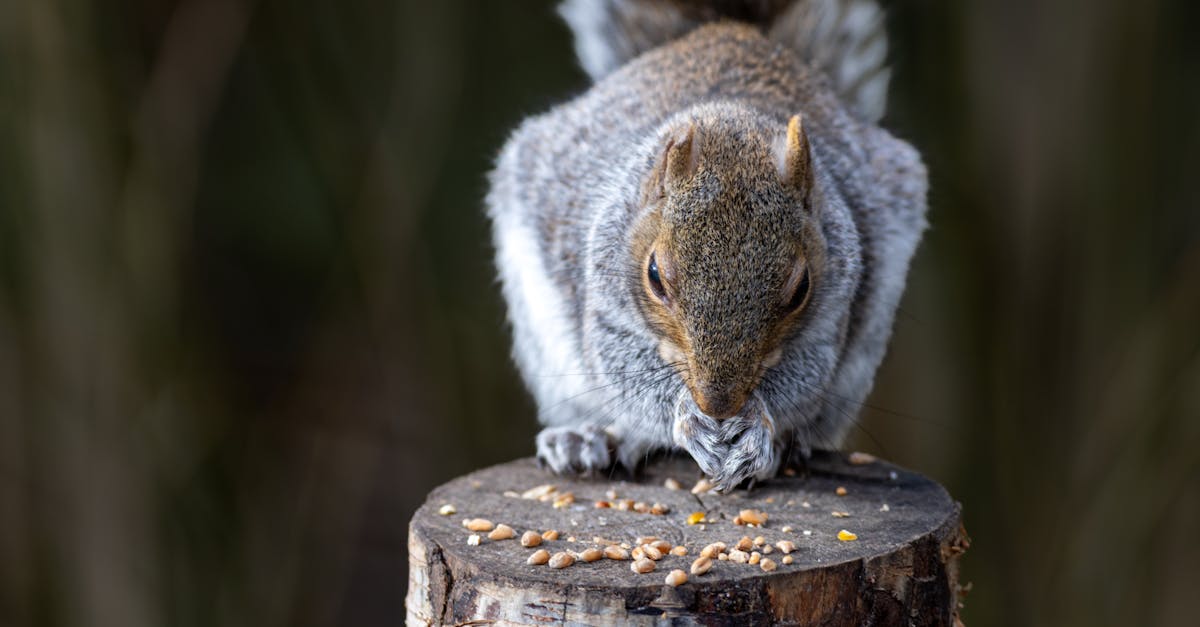découvrez ce qu'est le comportement misogyne, ses manifestations courantes et les moyens de le combattre pour promouvoir l'égalité et le respect entre les genres.