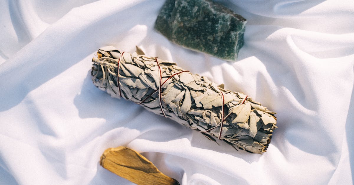 découvrez les bienfaits du nettoyage à la sauge, une méthode traditionnelle pour purifier et harmoniser votre espace et votre esprit.