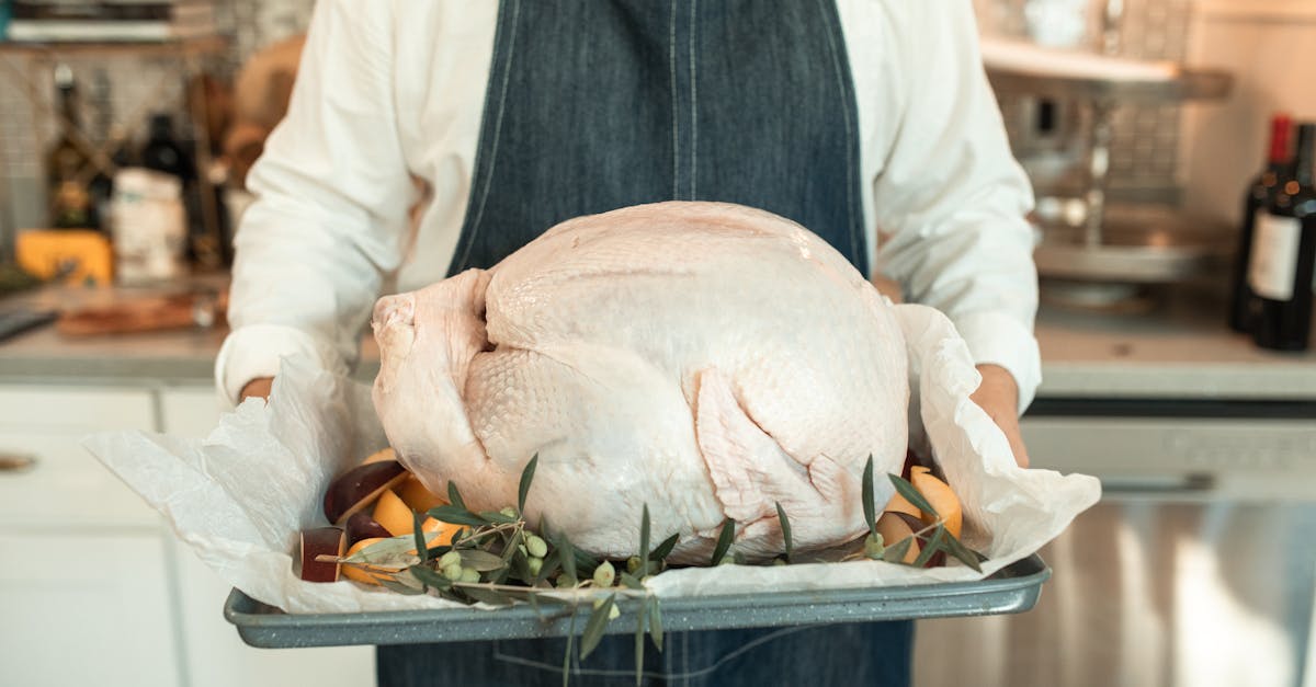 découvrez l'histoire, les traditions et les recettes incontournables du thanksgiving, la fête américaine dédiée à la gratitude et au partage en famille.