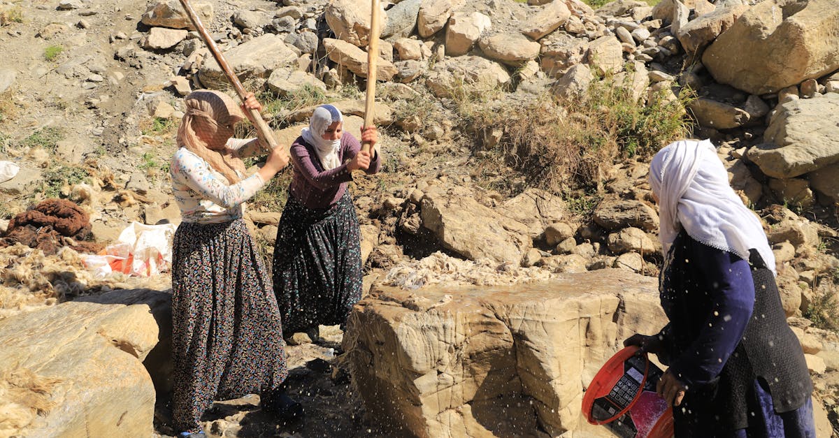 découvrez la signification de l'expression « loup déguisé en mouton » et comment reconnaître les personnes qui cachent leurs véritables intentions.