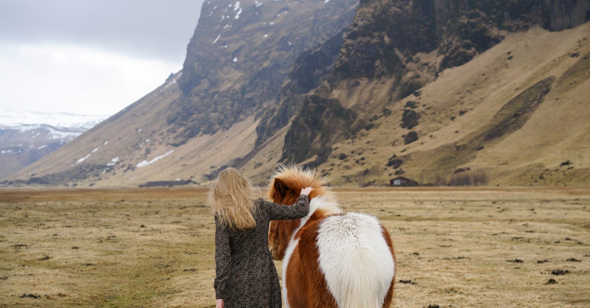 découvrez tout sur le signe astrologique bélier : caractéristiques, personnalité, compatibilités et prévisions pour mieux comprendre l'énergie passionnée de l'aries.