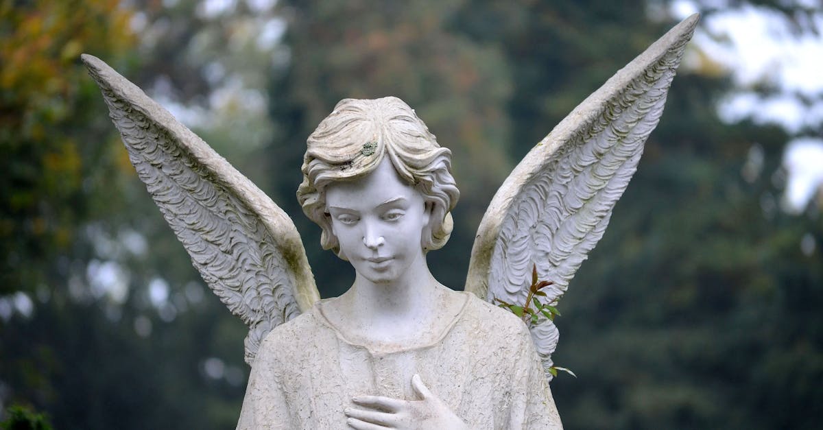 découvrez la signification et le rôle d'un ange gardien, symbole de protection, de guidance et de bienveillance dans votre vie quotidienne.