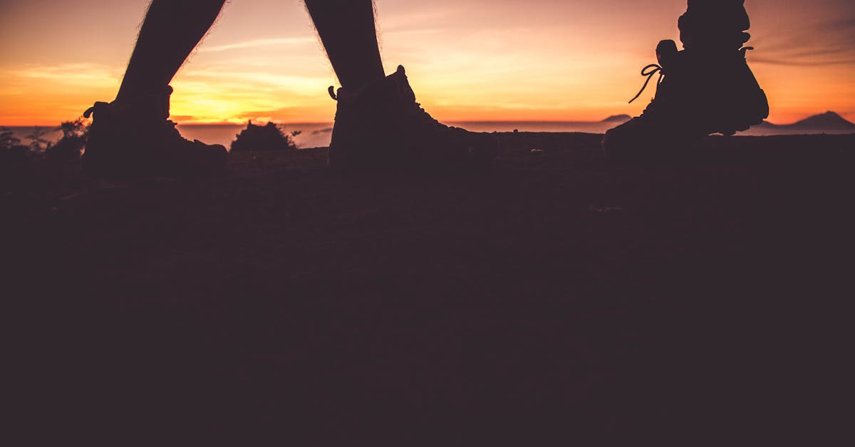 découvrez le concept de soulmate, l'âme sœur idéale qui complète parfaitement votre vie et votre cœur.