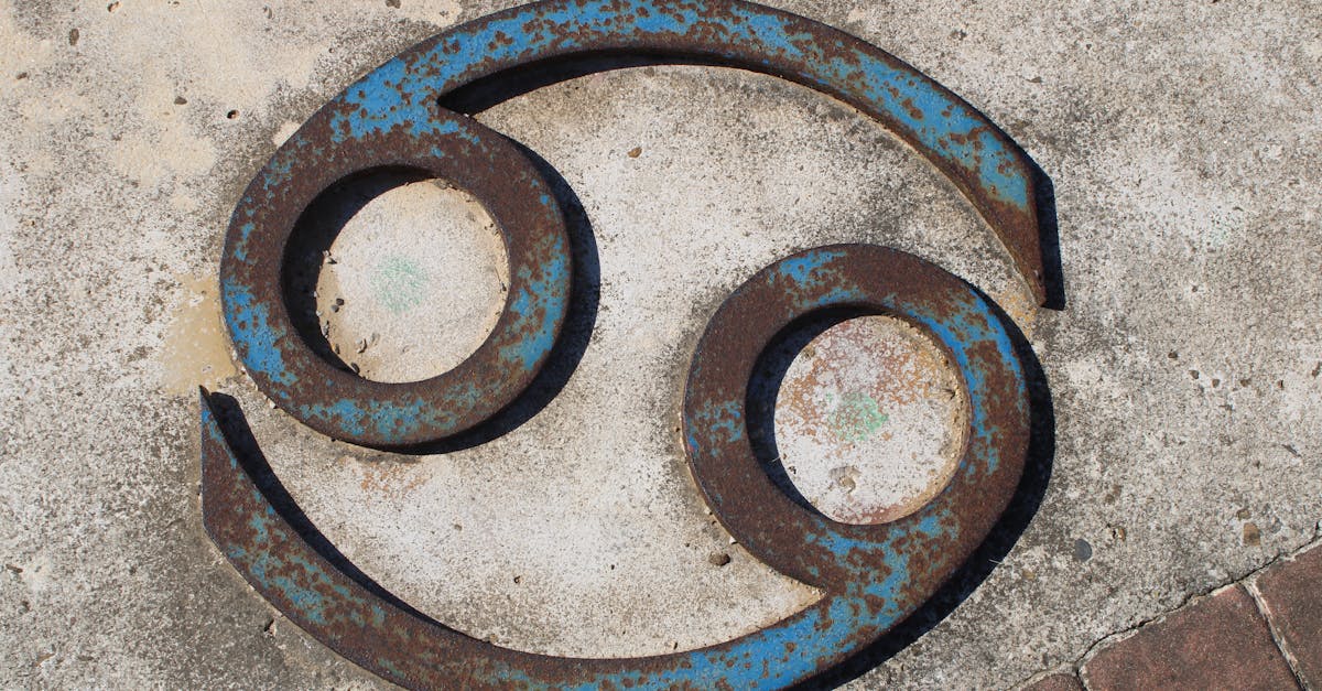 découvrez la chance selon votre signe du zodiaque et comment l'influencer pour attirer succès et bonheur au quotidien.